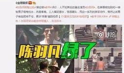 爆料老陈网红视频大全集,揭秘网络红人的魅力瞬间