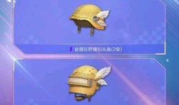 载具皮肤爆料最新版下载,抢先体验全新视觉盛宴！